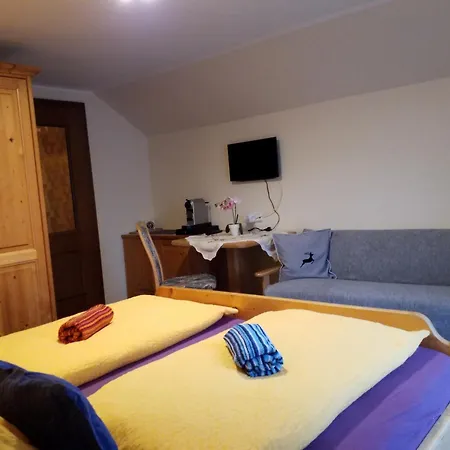 Haus Hubertusheim Apartment Schladming