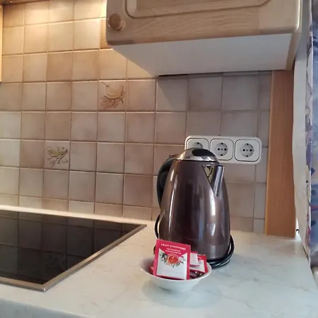 Apartamento Haus Hubertusheim Schladming