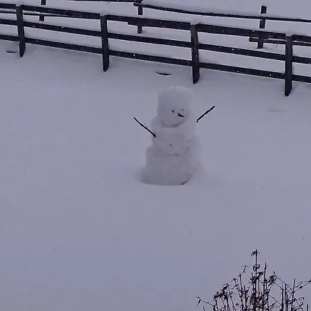 Haus Hubertusheim Apartment