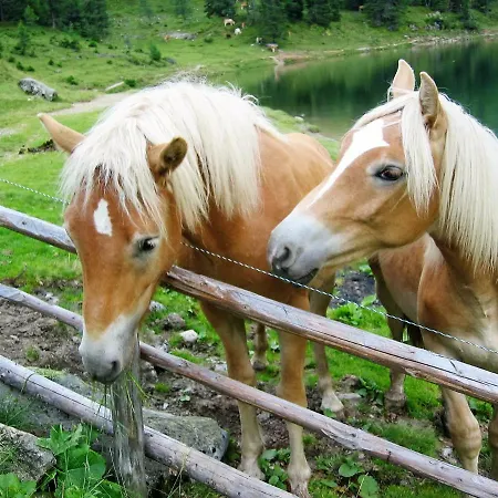 Apartment Haus Hubertusheim Schladming