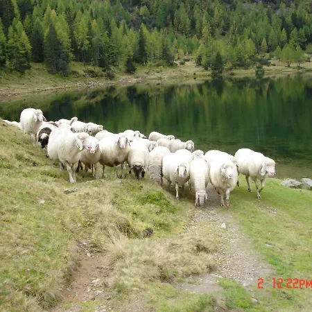 Haus Hubertusheim Schladming