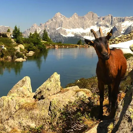 Haus Hubertusheim Lägenhet *