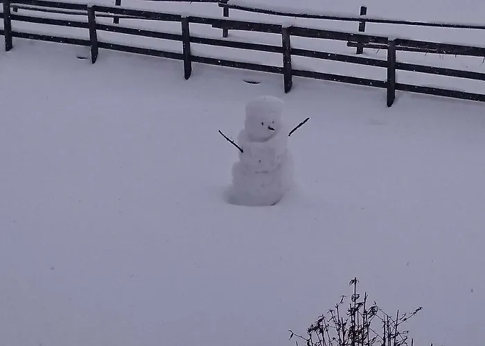 Haus Hubertusheim Апартаменты