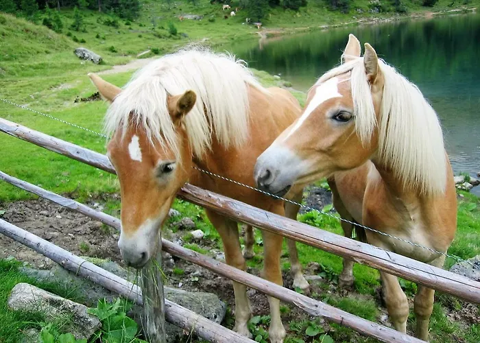 Apartment Haus Hubertusheim Schladming