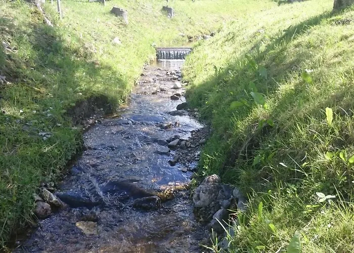 Апартаменты Haus Hubertusheim Шладминг