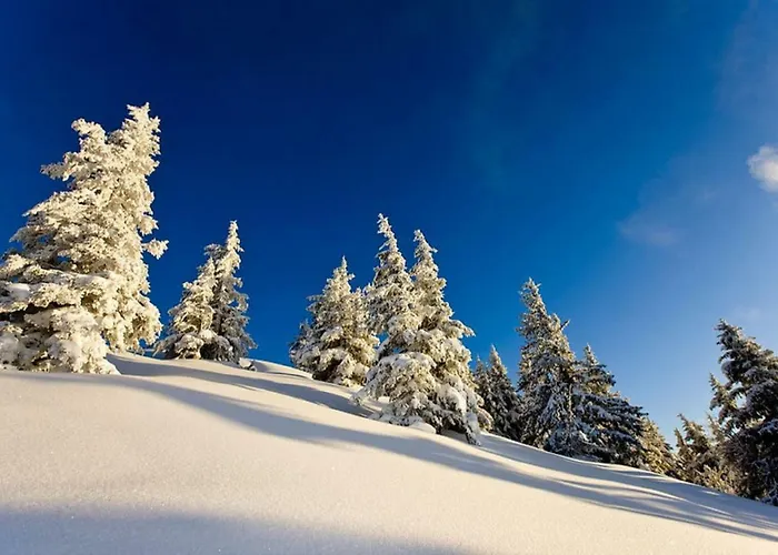 Haus Hubertusheim Апартаменты *